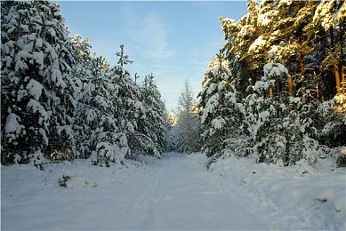 《消逝的光芒：困兽》公布11周内容路线图 新增二周目与社区挑战